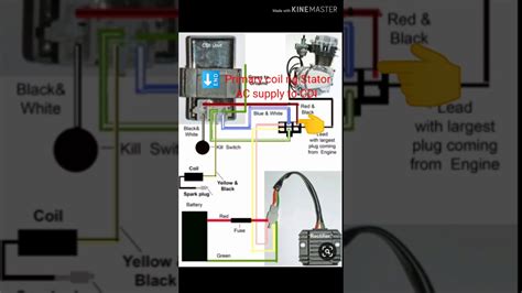 black box motorcycle wiring